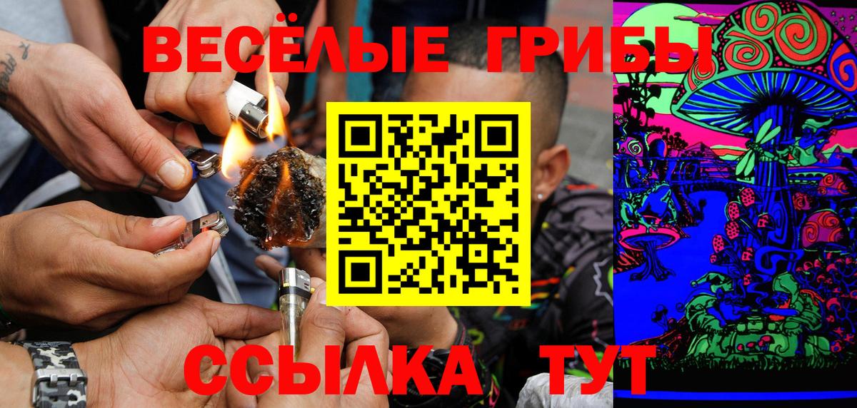 Галлюциногенные грибы Psilocybe  Вход с VPN  Шахты 